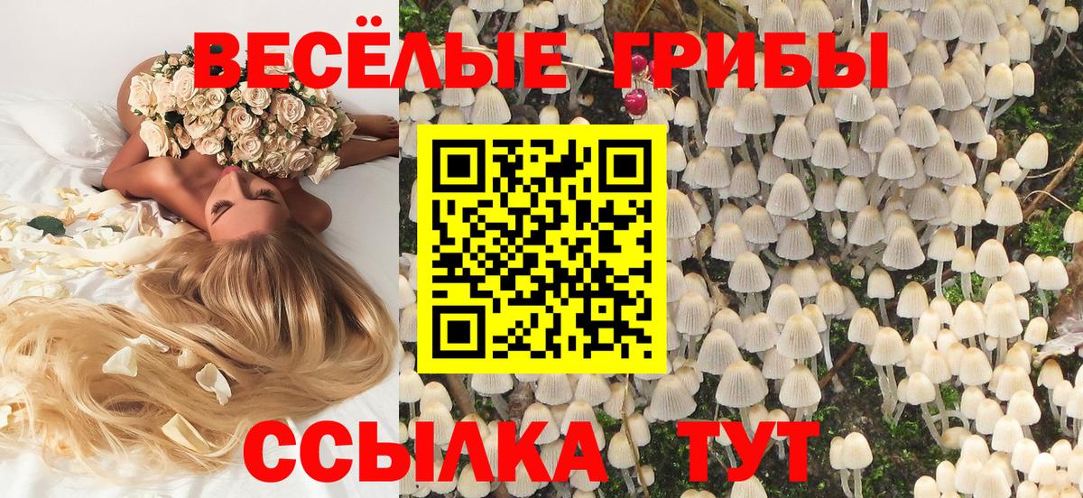 Донской  Галлюциногенные грибы мицелий  Вход с VPN 